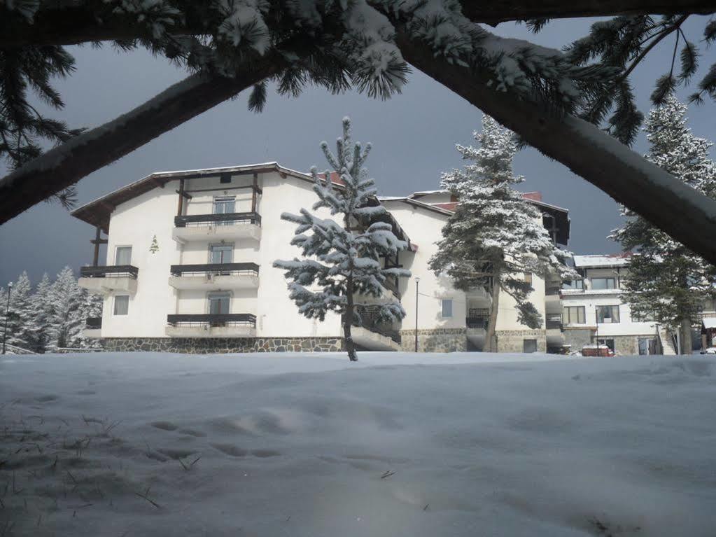 Bor Hotel Belitsa  ภายนอก รูปภาพ
