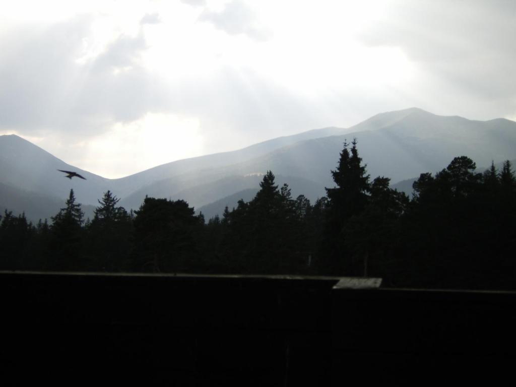 Bor Hotel Belitsa  ห้อง รูปภาพ
